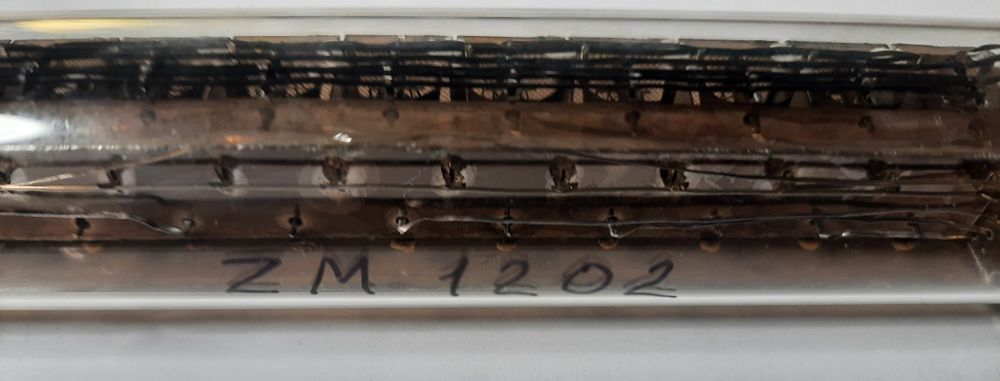 ZM1202 nixie tube,мегараритетная лампа,рабочая! Дорого!