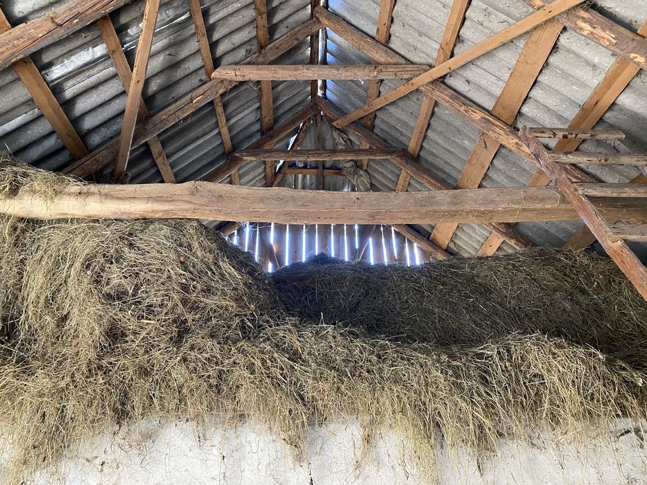 Продам сіно Іршава