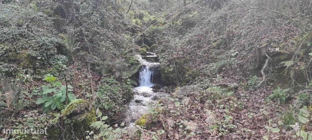 Terreno Agrícola - Moimenta / Terras de Bouro — Campo do Gerês, Braga