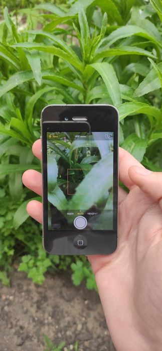 Apple iPhone 4 8gb Neverlock