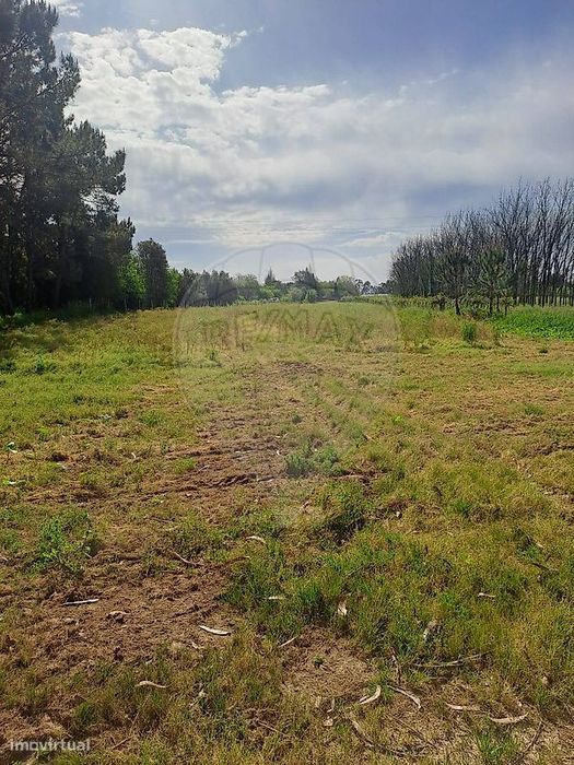Terreno  para venda