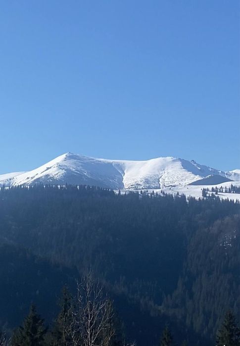 25 соток біля лісу, панорама Чорногори / для Будинку , Котеджу/Власник