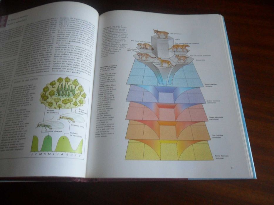 "História Natural da Evolução" de Philipe Whitfield - 1ª Edição 1994