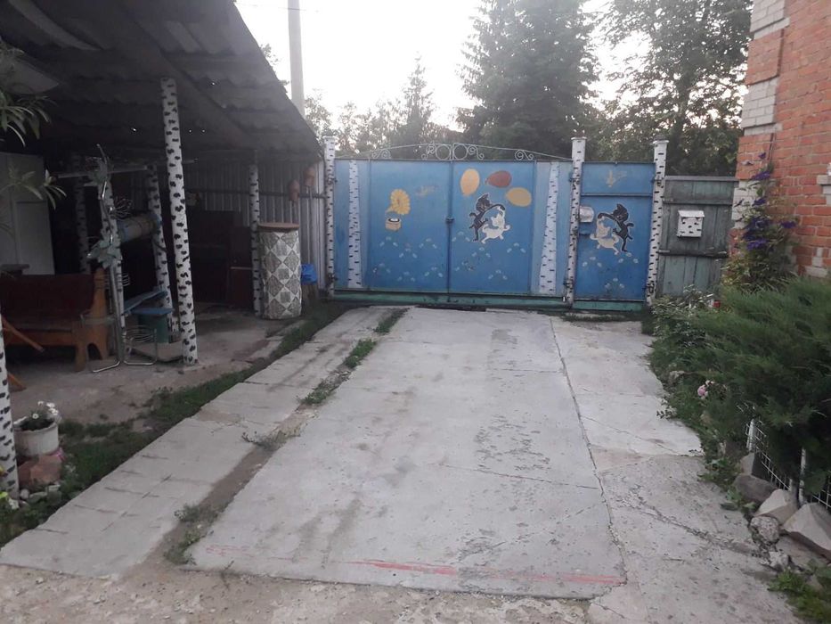 Продам будинок у селі.