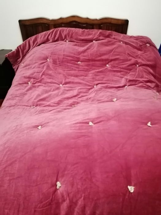 Edredron gato preto novo