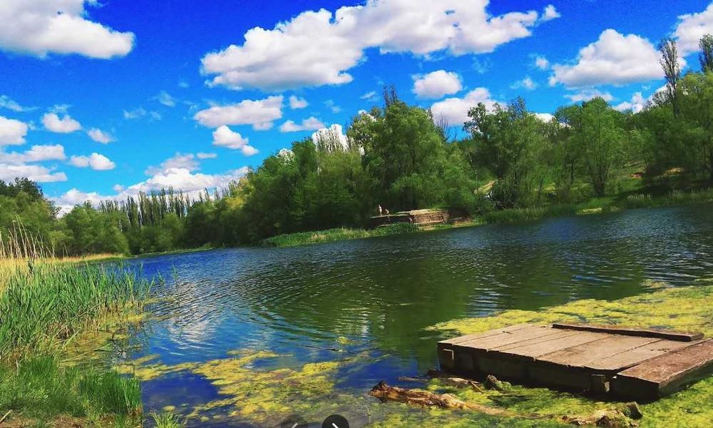 Продам земельну ділянку СТ Комунальник на березі озера