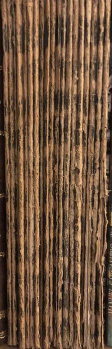 "A Caça no Império Português"