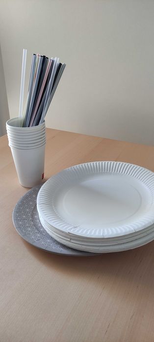 Vários artigos descartáveis para festa