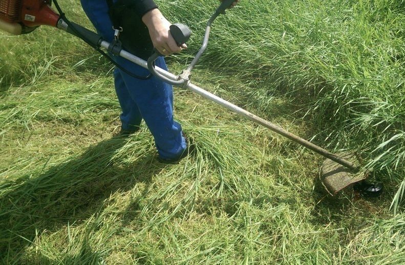 Покіс трави,бурʼяну,вивіз сміття.Послуги садівника.Бучанський район