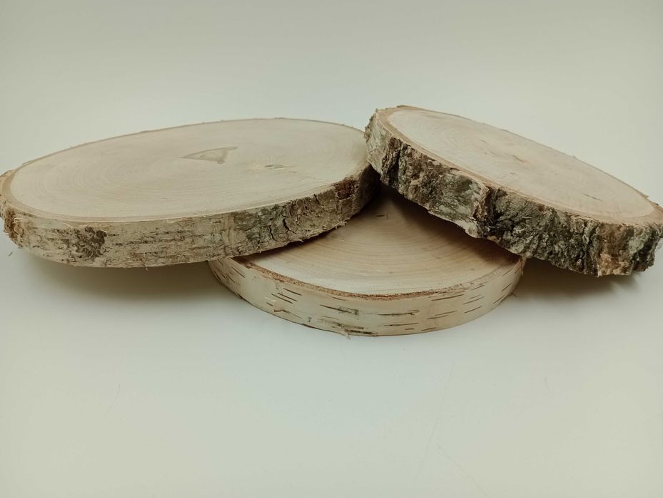 Plastry brzozowe, krążki brzozowe  15-20 CM  P2