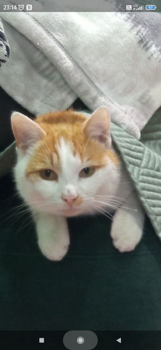 Lucuś nadal poszukiwany