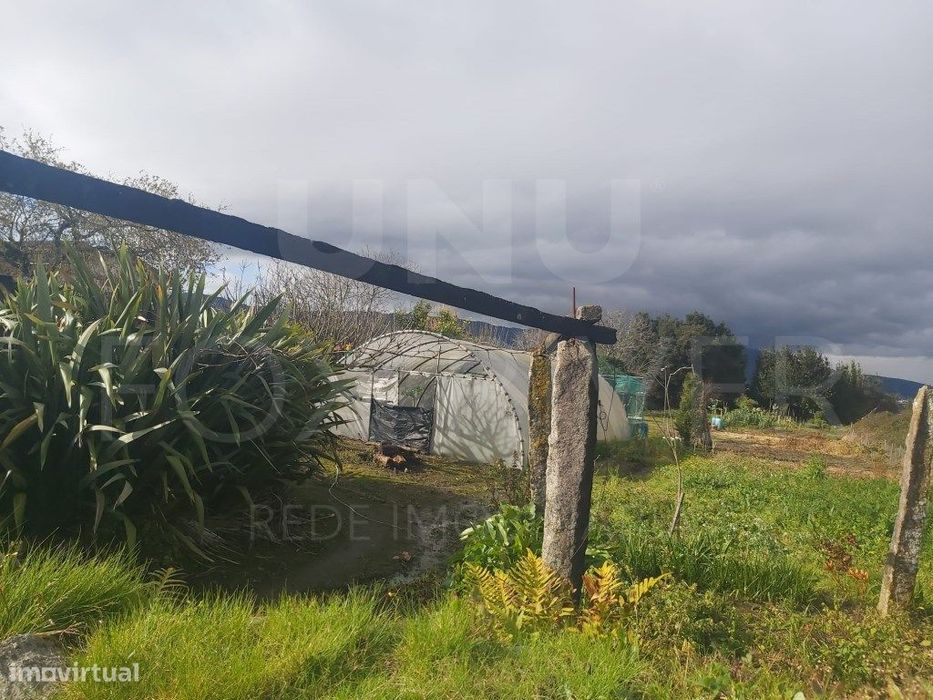 Terreno Urbanizado - Darque — Darque, Viana do Castelo