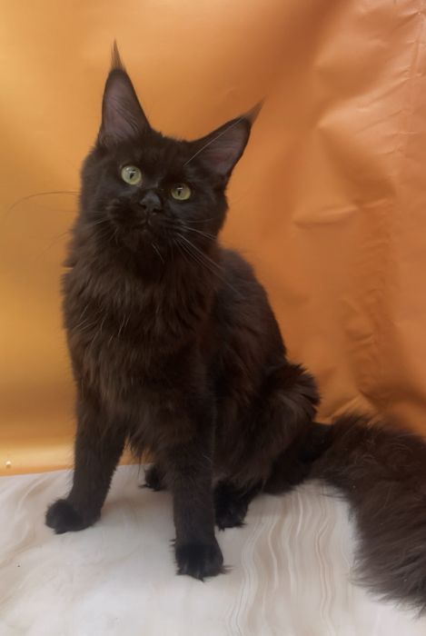 Девочка один год