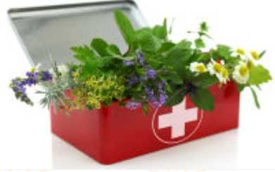 Manual Uso de plantas medicinais