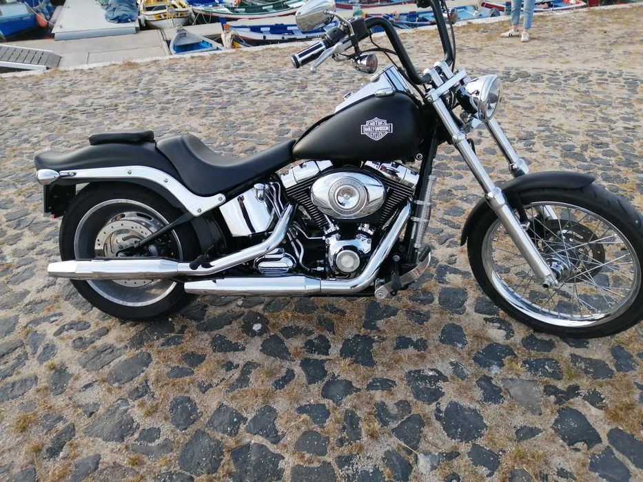 Harley davidson softail