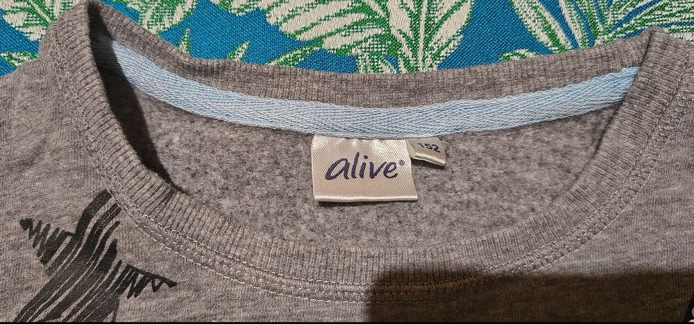 Bluza Alive roz. 146-152