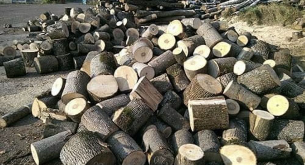 Дрова з доставкою від 2000грн.
