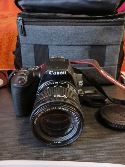 Canon eos 250d б/у. Куплений у 2024 р.