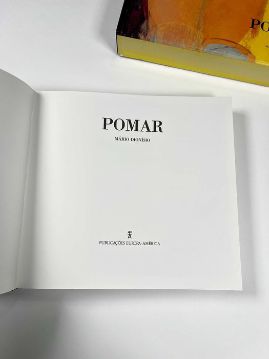 Júlio Pomar de Mário Dionísio Publicações Europa-América 1990 Livro