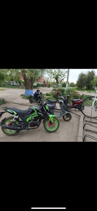 Musstang xtreet 250