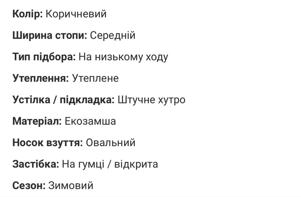Зимові чоботи, типц угги