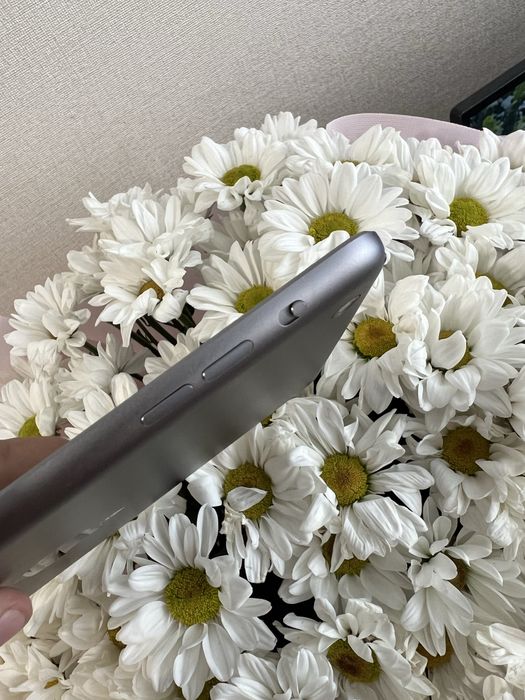 Apple iPad mini з пам'яттю 16GB