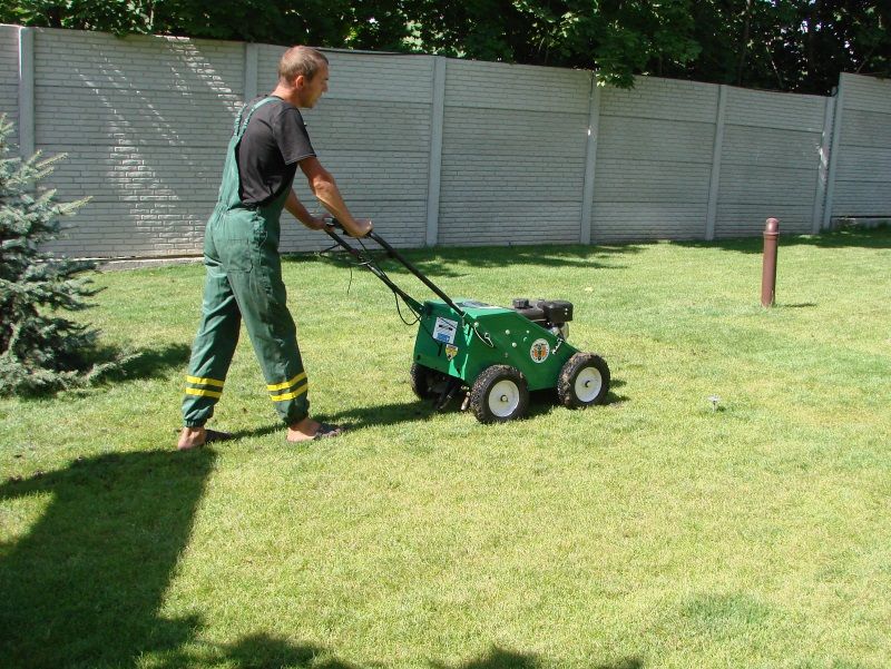 Садовник, вычесывание, аэрация, скарификация газона