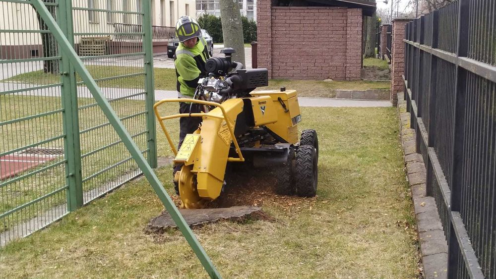 Karczowanie działek Legionowo | Wycinka drzew | Frezowanie pni