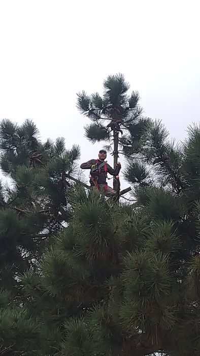 Serviço de escavações  limpeza de terreno
