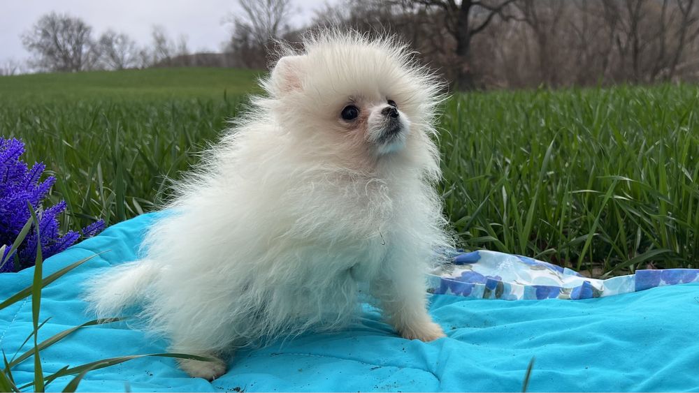 Ніжний хлопчик малюк