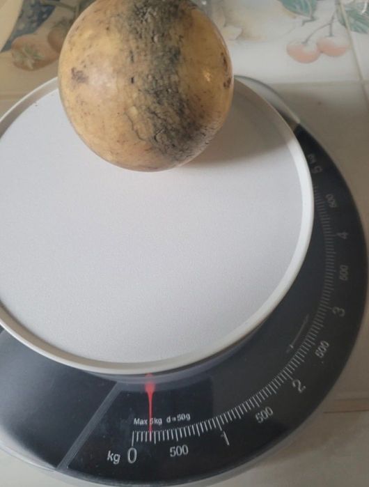 Bola de bilhar com mais de 100 anos