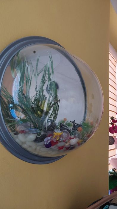 Duże akwarium na ścianę