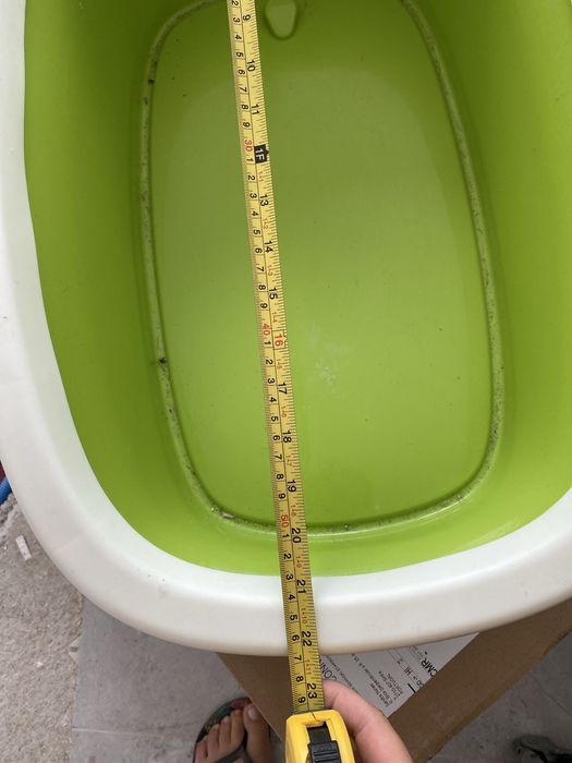 Caixa de areia para gatos