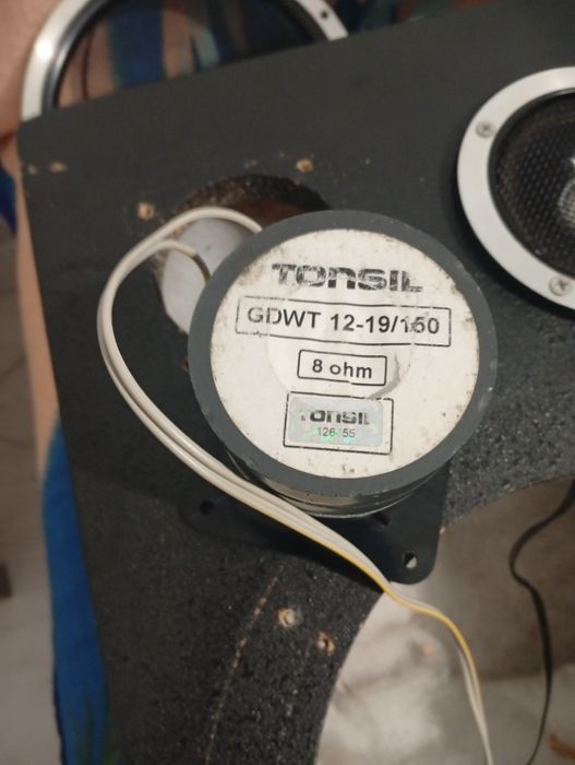 Tonsil gdwt wysoki ton 2 szt