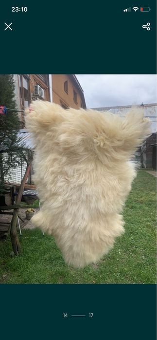 Безрукавка шубка кролик