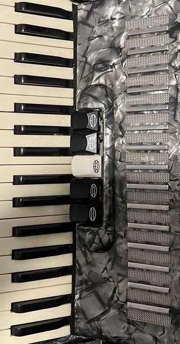 Acordeão de Teclas à 3ª Voz - Semi Novo