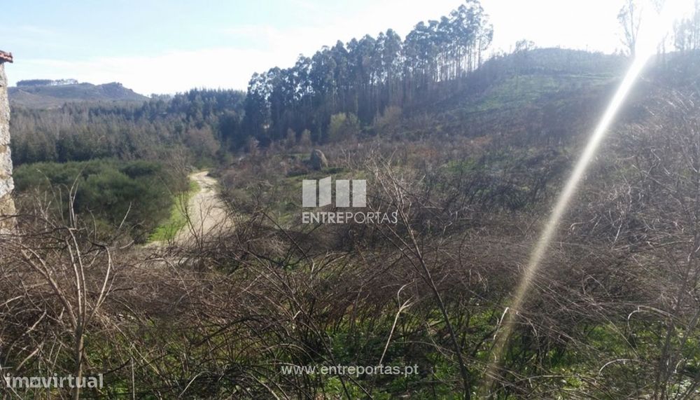 Venda Terreno, Frente Estrada, Manhuncelos, Marco de Canaveses — Marco, Porto