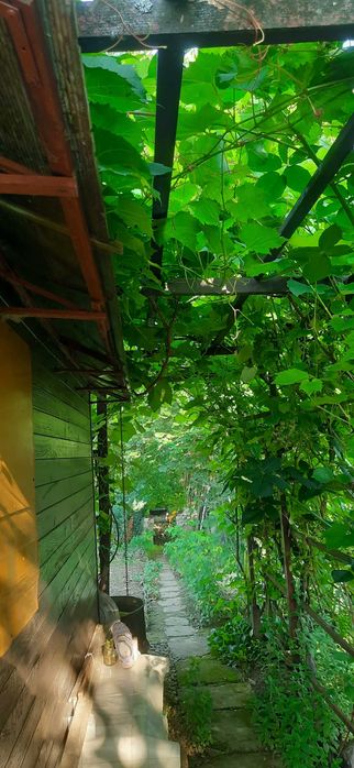 Sprzedam działkę na Ogródkach Działkowych Hutnik ul. 17 Stycznia Jasło