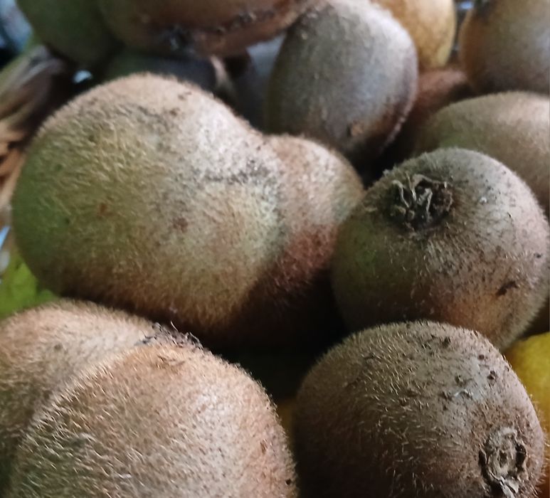 Kiwis Biológicos NC