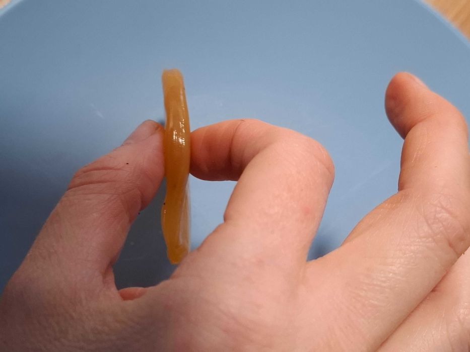 Grzybek herbaciany kombucha kombucza SCOBY ze starterem