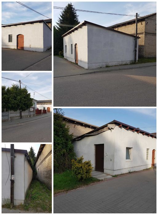 Sprzedam, działkę 14 arów,budynek 84m²,gospodarczy 60m², ogród ogrodz. - Widok 4