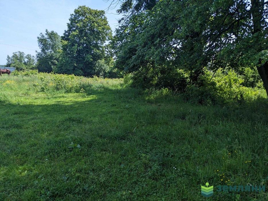 Продається ділянка в Чернієві (1)