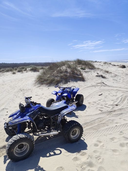 Yamaha warrior 350