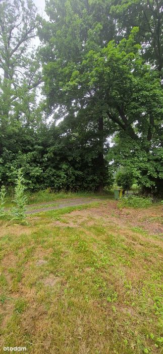 Wyjątkowa Posiadłość Budowlana 5298 m² – Dom, Sauna, Eko-Ogród