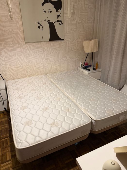 2 Camas Individuais Molaflex Star 90x190 + Colchões