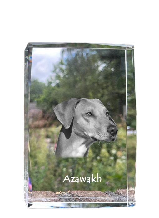 Chart afrykański, Azawakh kryształ z psem Art-Dog