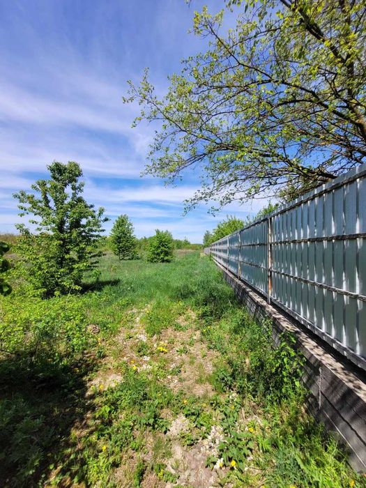 Земельна ділянка в с.Колодіївці. вул.Л.Українки. 25 сот.