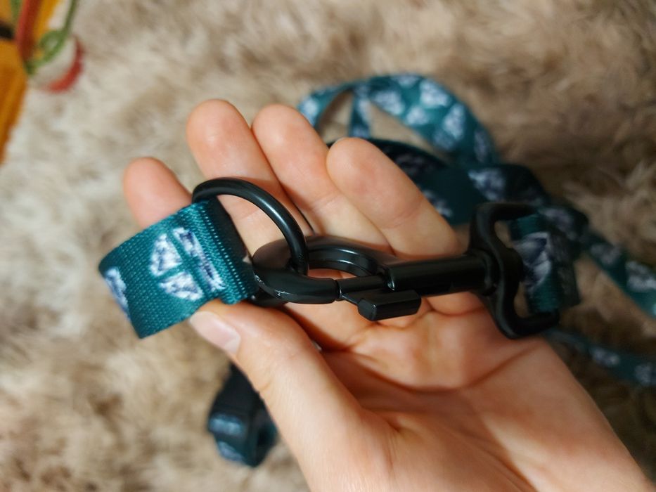 Obroża + smycz firmy Royal Pet/Royal Vision dla psa Diamond Peacock