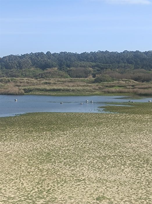 Terreno urbano (885m2)