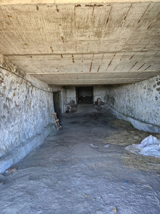 здам в оренду склад і овощесховище